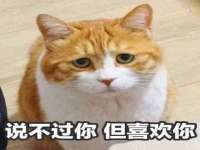 徐州市协力再生物资回收有限公司