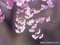 徐州市协力再生物资回收有限公司