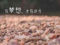 徐州市协力再生物资回收有限公司