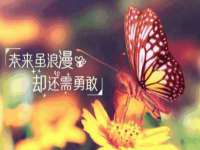 徐州市协力再生物资回收有限公司