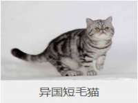 徐州市协力再生物资回收有限公司
