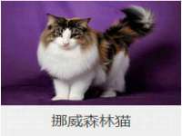 徐州市协力再生物资回收有限公司