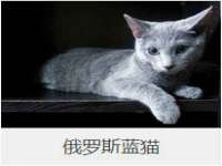 徐州市协力再生物资回收有限公司