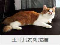 徐州市协力再生物资回收有限公司
