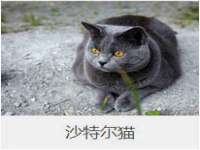 徐州市协力再生物资回收有限公司