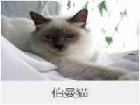 徐州市协力再生物资回收有限公司