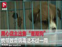 徐州市协力再生物资回收有限公司