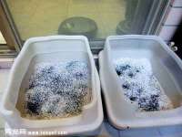 徐州市协力再生物资回收有限公司