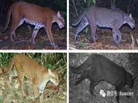 徐州市协力再生物资回收有限公司