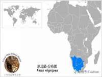 徐州市协力再生物资回收有限公司