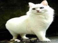徐州市协力再生物资回收有限公司