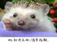 徐州市协力再生物资回收有限公司