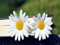 徐州市协力再生物资回收有限公司