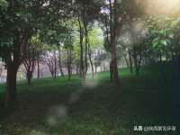徐州市协力再生物资回收有限公司