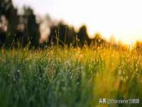 徐州市协力再生物资回收有限公司