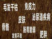徐州市协力再生物资回收有限公司