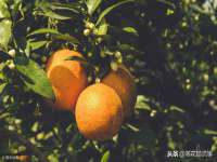 徐州市协力再生物资回收有限公司