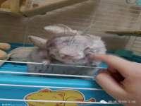 徐州市协力再生物资回收有限公司