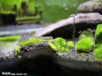徐州市协力再生物资回收有限公司