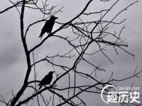 徐州市协力再生物资回收有限公司