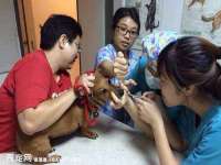 徐州市协力再生物资回收有限公司