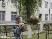 徐州市协力再生物资回收有限公司
