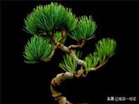 徐州市协力再生物资回收有限公司