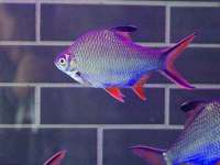 徐州市协力再生物资回收有限公司