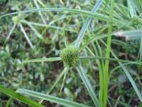 徐州市协力再生物资回收有限公司